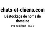 Photo 1/1 du lot