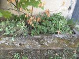 une jardinière en pierre remplie de plantes, posée sur l'herbe