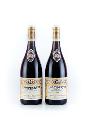 deux bouteilles de vin rouge posées l'une à côté de l'autre sur une surface blanche