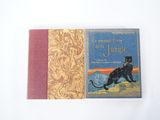 une photo d'un livre sur lequel figure un chat noir
