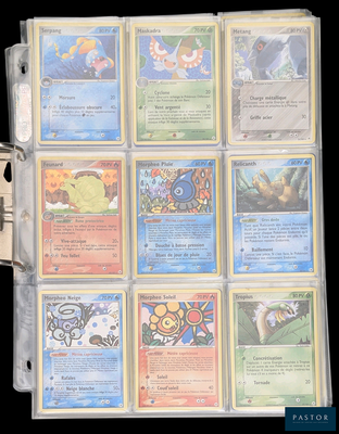 une photo d'une collection de cartes Pokémon rangées dans un classeur