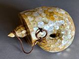 a shell shaped object with a chain around it