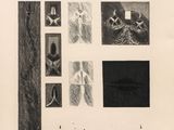 an old black and white photo of a collage of different designs