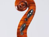a close up of the back of a violin