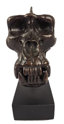 sculpture of a human skull on a black base