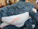 un grand requin empaillé posé sur une table