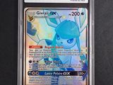 gros plan d'une carte pokemon dans un étui en plastique