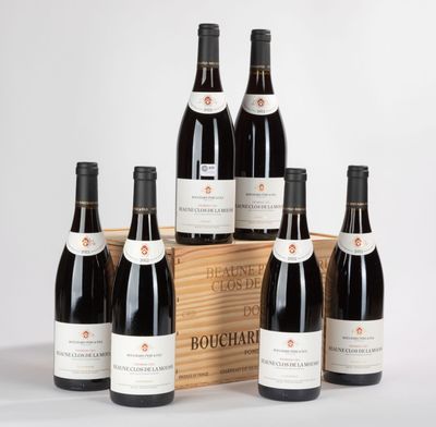 six bouteilles de vin rouge dans un coffret en bois sur fond blanc