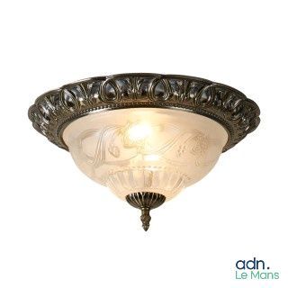 an image of a ceiling light with a glass shade on it
