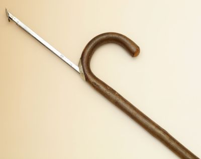 CANNE à système de géomètre en bois avec pommeau en bec de C… - Photo 1