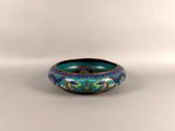 a close up of a blue and green bowl on a white surface