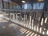 une grange avec plein de vaches à l'intérieur