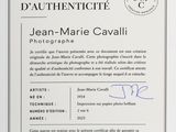 Photo 2/2 du lot