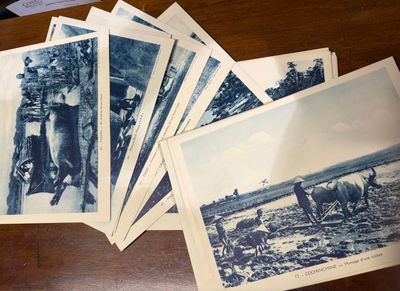 several old black and white photos of people and horses on a table