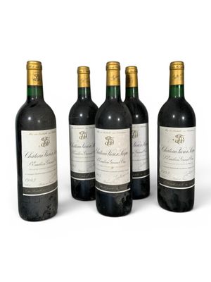 six bouteilles de vin sont alignées sur une surface blanche