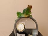 une petite plante dans un vase en verre orné d'une horloge
