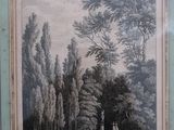 framed picture of a landscape with trees and a pond in the foreground