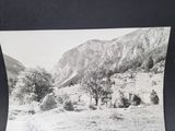 a black and white photo of a mountain with trees