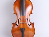 a close up of a violin on a white background