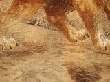 a painting of a dog that is walking in the dirt