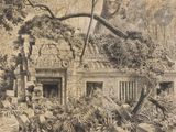 un dessin représentant une maison au milieu de la jungle