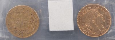 a close up of two gold coins in a plastic bag