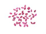 quelques pétales roses sont éparpillés sur une surface blanche