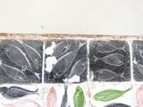 a picture of a tile with fish and plants on it