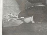 a black and white photo of a woman holding a fan