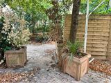 two planters that are sitting on a brick patio