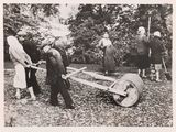 a black and white photo of a group of people working on a tree