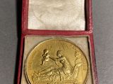an image of a gold medal in a red case