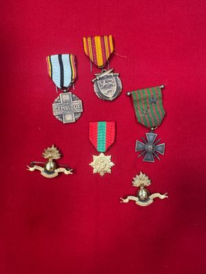 a close up of a bunch of medals on a red surface