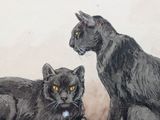 two black cats sitting next to each other on the ground