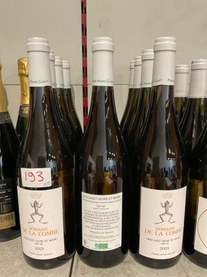 plusieurs bouteilles de vin sont alignées sur un comptoir