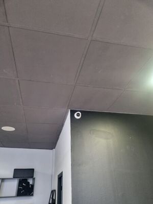 une salle de bain avec toilettes et lavabo