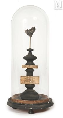 a glass clochet with a bird on top of it