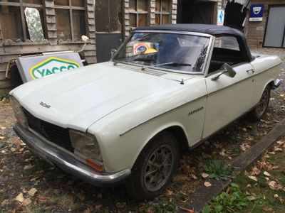 une voiture blanche garée dans l'herbe