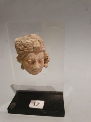 Visage de femme aux boucles d’oreilles a la très belle coiff…