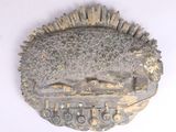 une plaque métallique sur laquelle figure l'image d'un poisson