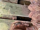 a close up of a piece of wood with a face carved into it