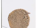 a picture of a bird sitting on a wire with a white background