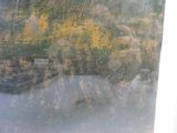a picture of a picture of a forest in the background