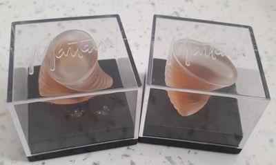 deux cônes en plastique dans une boîte transparente posée sur une table