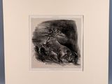 un dessin en noir et blanc représentant un chien et un chat dans un champ