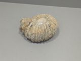 an image of a piece of rock on a table