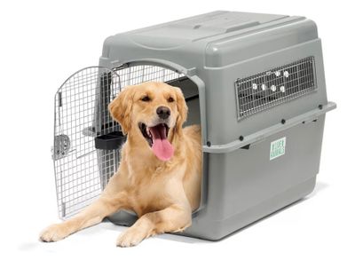 Beeztees Skykennel 5 IATA Caisse de Transport pour Chien de …