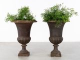 deux grands vases contenant des plantes, posés sur un sol en béton