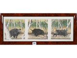 two framed pictures of a bear and a boar in a forest