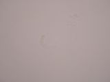 a close up of a white wall with a handprint on it